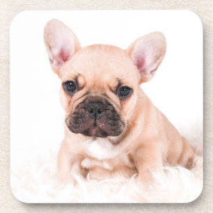 Franse Bulldog Drankjes Onderzetter