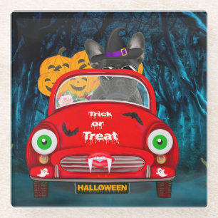 Franse Bulldog Driving Car Scary Halloween Glazen Onderzetter