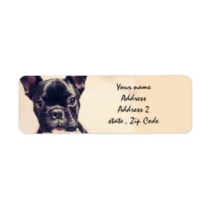 Franse Bulldog Etiket
