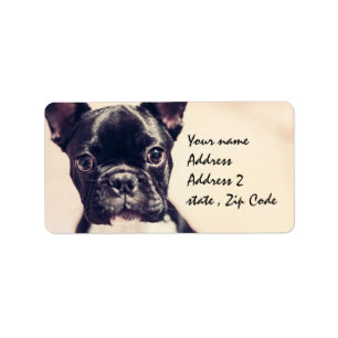 Franse Bulldog Etiket