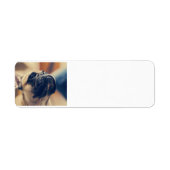 franse bulldog fawn etiket (Voorkant)