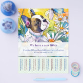 Franse Bulldog Flyer (Enkel)