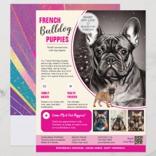 Franse Bulldog Flyer Paars 