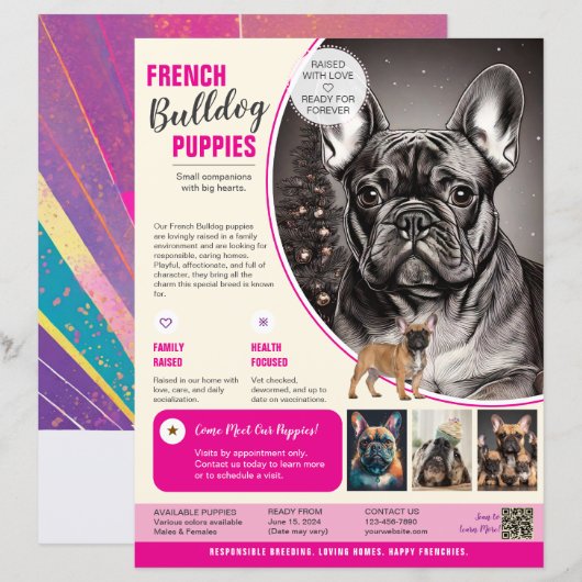 Franse Bulldog Flyer Paars (Voorkant / Achterkant)
