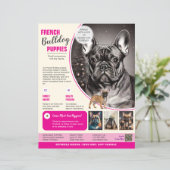 Franse Bulldog Flyer Paars (Staand voorkant)
