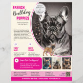 Franse Bulldog Flyer Paars (Voorkant)