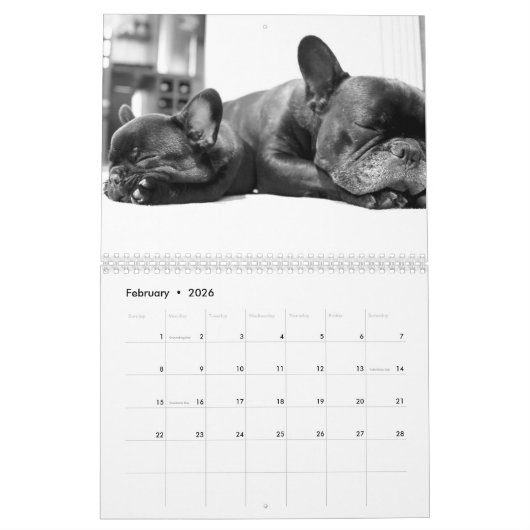 Franse Bulldog Foto Agenda 2026 Kalender (Feb 2026)