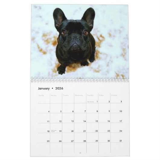 Franse Bulldog Foto Agenda 2026 Kalender (Jan 2026)
