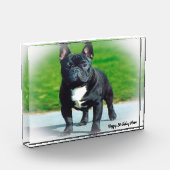 Franse Bulldog Fotoblokken (Links)