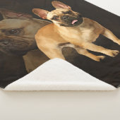 Franse Bulldog - Frenchie - Brown Play Sherpa Deken (3/4)