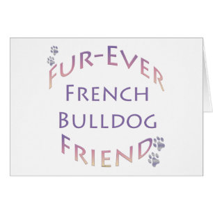 Franse Bulldog Furever
