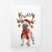 Franse Bulldog Goraalse Reindeer kerstcadeau Drieluik Aankondiging (Cover)
