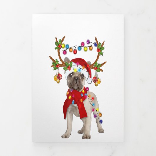 Franse Bulldog Goraalse Reindeer kerstcadeau Drieluik Aankondiging (Cover)