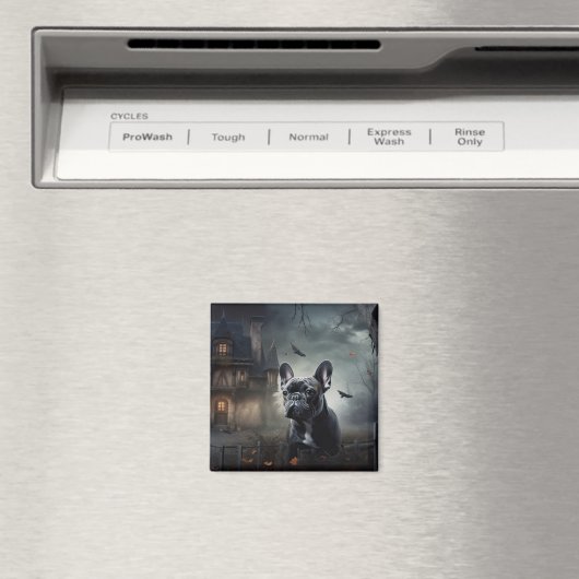 Franse Bulldog Halloween eng Magneet (Insitu (Vaatwasser))