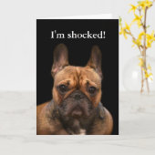 Franse Bulldog Happy Birthday Humor Kaart (Gele Bloem)