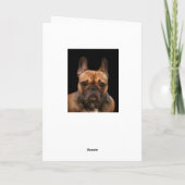 Franse Bulldog Happy Birthday Humor Kaart (Achterkant)