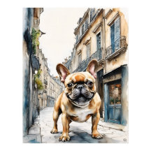 Franse Bulldog - Hond Art Print