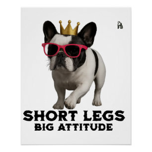 Franse Bulldog Hondenliefhebbers Perfect Poster