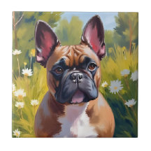 Franse Bulldog | Huisdier Hond Schilderij Waterver