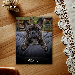 Franse Bulldog Ik Mis Je Postkaart