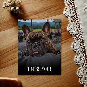Franse Bulldog Ik Mis Je Postkaart