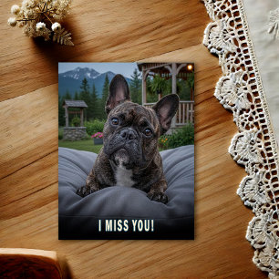 Franse Bulldog Ik Mis Je Postkaart