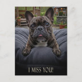 Franse Bulldog Ik Mis Je Postkaart (Voorkant)