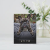 Franse Bulldog Ik Mis Je Postkaart (Staand voorkant)
