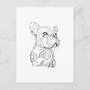 Franse Bulldog Illustratie, Persoonlijk Briefkaart
