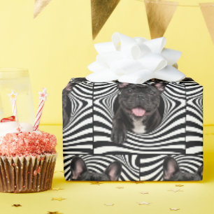 Franse Bulldog in Abstract Gestreepte Gat Cadeaupapier