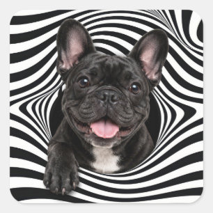 Franse Bulldog in Abstract Gestreepte Gat Vierkante Sticker