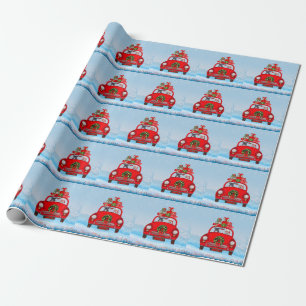 Franse Bulldog In Auto Met Kerstman Cadeaupapier