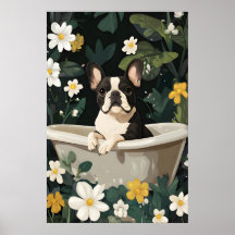 Franse Bulldog in badkuip poster, grappige hond
