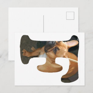 Franse Bulldog in F Briefkaart