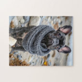 Franse Bulldog in Gebreide Hondenkleren Legpuzzel (Horizontaal)