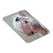Franse Bulldog in Heart Glasses Magneet (Rechterzijde)