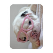 Franse Bulldog in Heart Glasses Magneet (Verticaal)