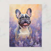 Franse Bulldog in Lavender veld
