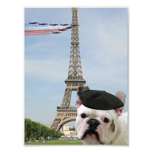 Franse bulldog in Parijs Foto Afdruk (Voorkant)
