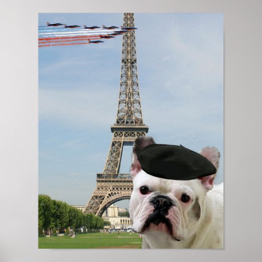 Franse bulldog in Parijs Poster (Voorkant)