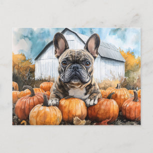 Franse Bulldog in Pumpkin Patch Briefkaart
