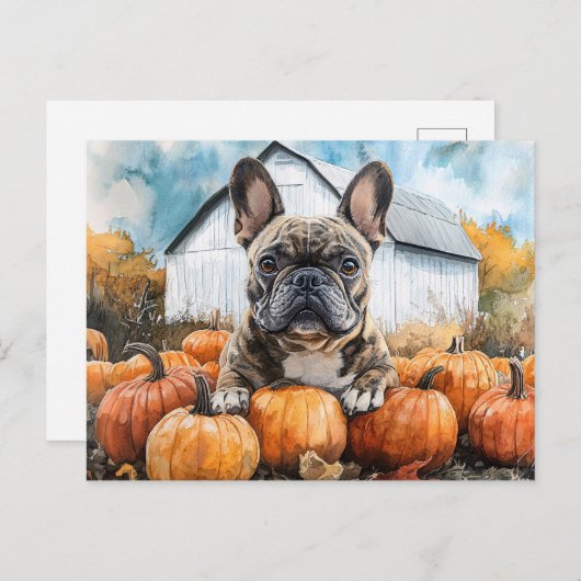 Franse Bulldog in Pumpkin Patch Briefkaart (Voorkant / Achterkant)