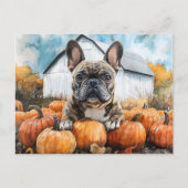 Franse Bulldog in Pumpkin Patch Briefkaart (Voorkant)