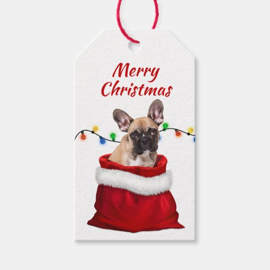Franse Bulldog in Santa Bag Gift Labels Cadeaulabel (Voorkant)