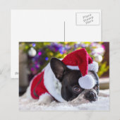 Franse Bulldog in Santa Hat onder de kerstboom Feestdagenkaart (Voorkant / Achterkant)