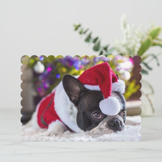 Franse Bulldog in Santa Hat onder de kerstboom Feestdagenkaart (Staand voorkant)