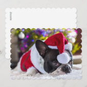 Franse Bulldog in Santa Hat onder de kerstboom Feestdagenkaart (Voorkant / Achterkant)