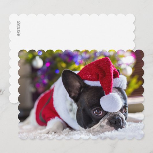 Franse Bulldog in Santa Hat onder de kerstboom Feestdagenkaart (Voorkant / Achterkant)