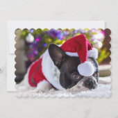 Franse Bulldog in Santa Hat onder de kerstboom Feestdagenkaart (Voorkant)