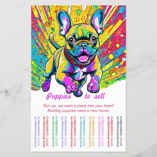 Franse Bulldog in uw huis Flyer (Voorkant)